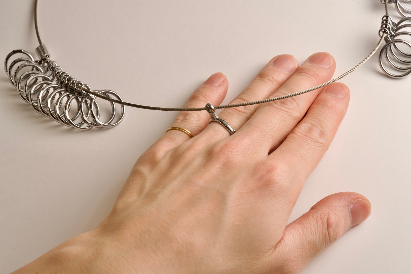 Ring gauge rental (400 yen coupon included)