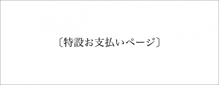 [Special payment page]